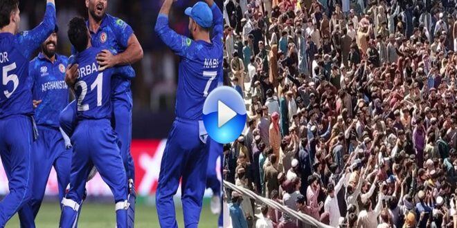 Afghanistan Beat Australia