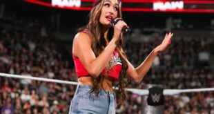 nikki bella